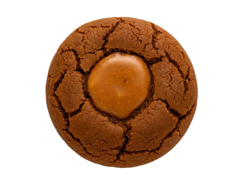 Biscoff Cookies